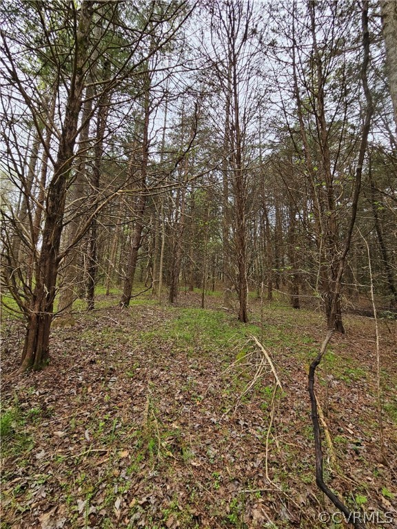 10-ac Holly Farms Road Rice, VA 23966 - Photo 25 of 27 Gallery Image 25