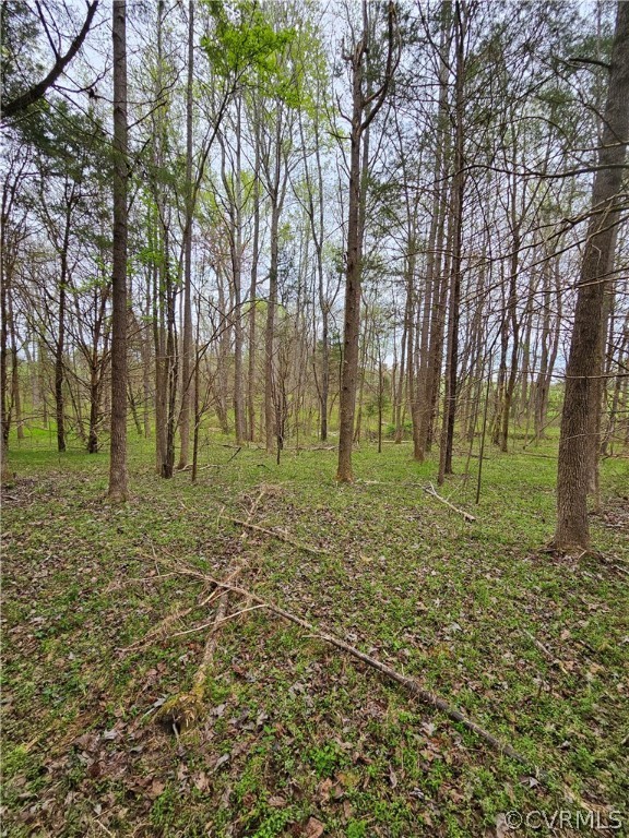 10-ac Holly Farms Road Rice, VA 23966 - Photo 26 of 27 Gallery Image 26