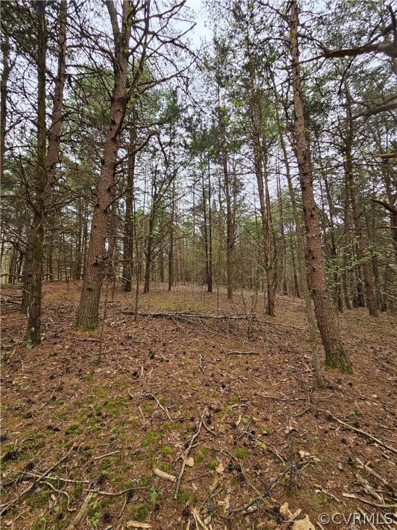 10-ac Holly Farms Road Rice, VA 23966 - Photo 27 of 27 Gallery Image 27