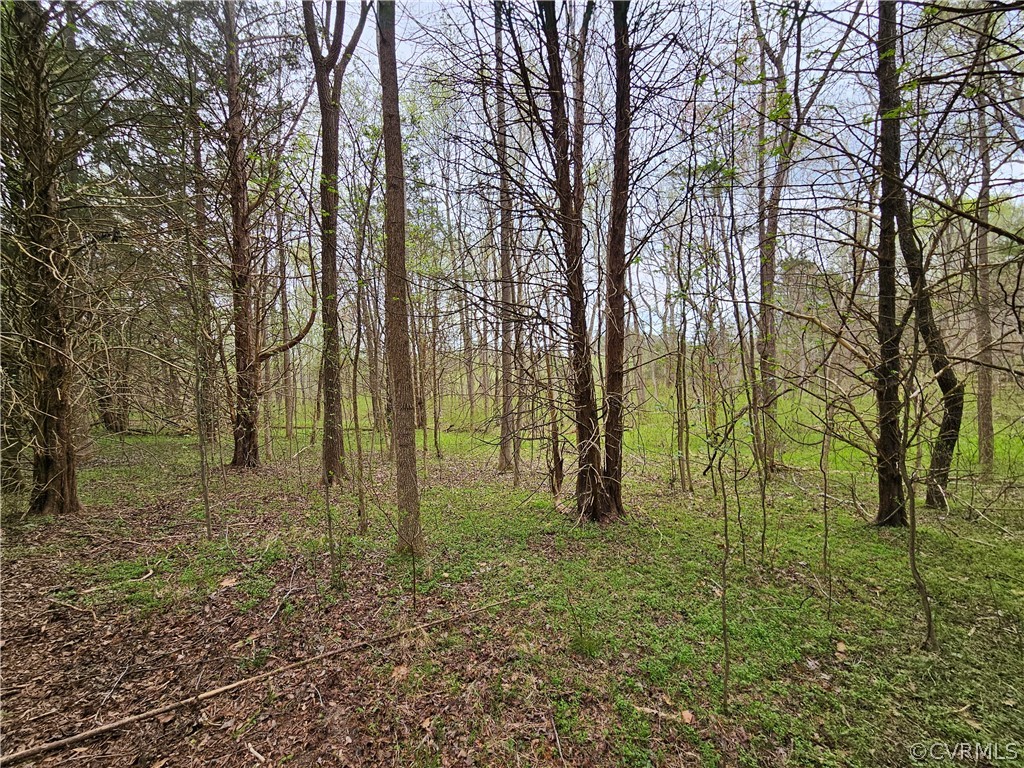 10-ac Holly Farms Road Rice, VA 23966 - Photo 3 of 27 Gallery Image 3