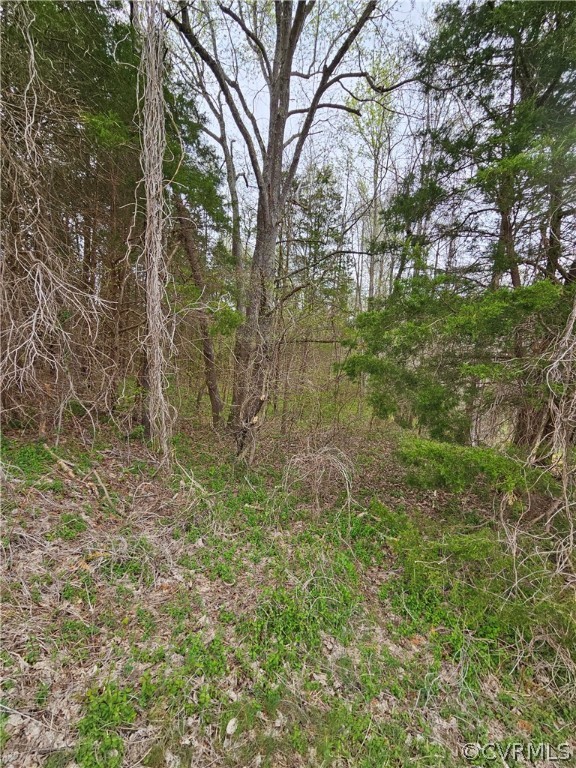 10-ac Holly Farms Road Rice, VA 23966 - Photo 4 of 27 Gallery Image 4