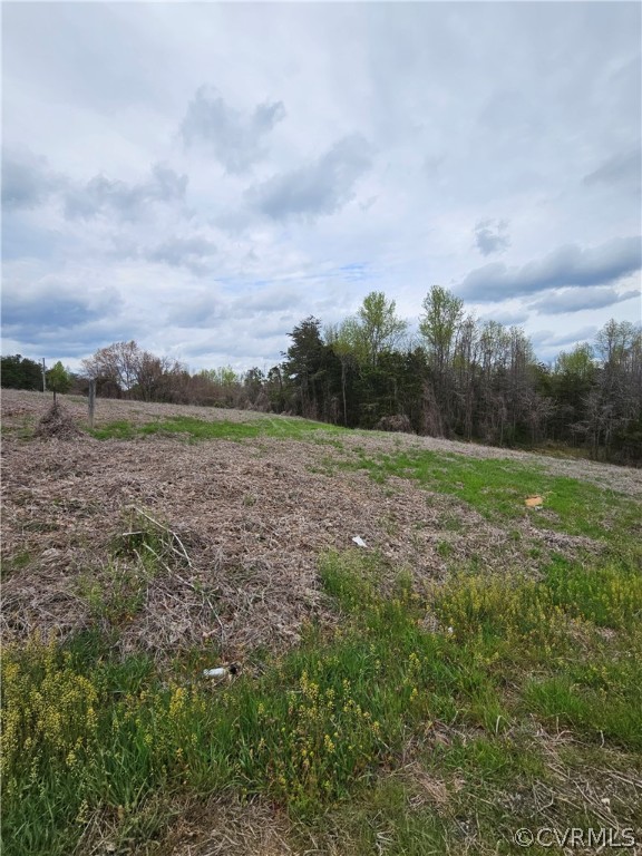 10-ac Holly Farms Road Rice, VA 23966 - Photo 5 of 27 Gallery Image 5