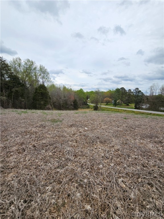 10-ac Holly Farms Road Rice, VA 23966 - Photo 6 of 27 Gallery Image 6