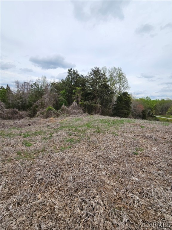 10-ac Holly Farms Road Rice, VA 23966 - Photo 7 of 27 Gallery Image 7