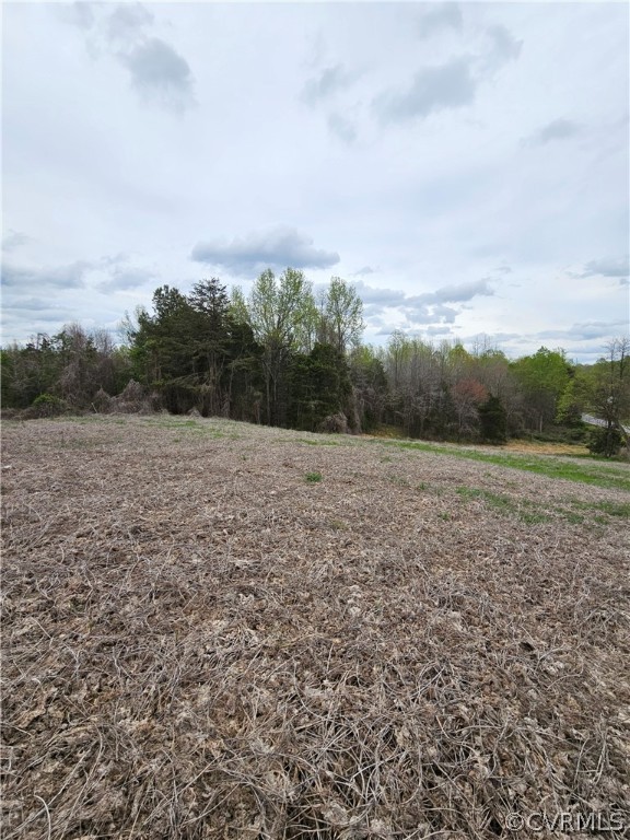 10-ac Holly Farms Road Rice, VA 23966 - Photo 8 of 27 Gallery Image 8