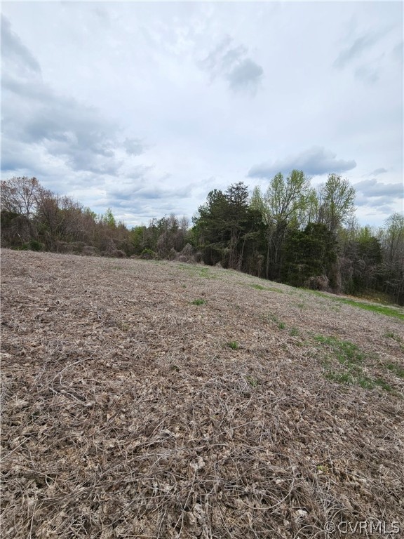 10-ac Holly Farms Road Rice, VA 23966 - Photo 9 of 27 Gallery Image 9