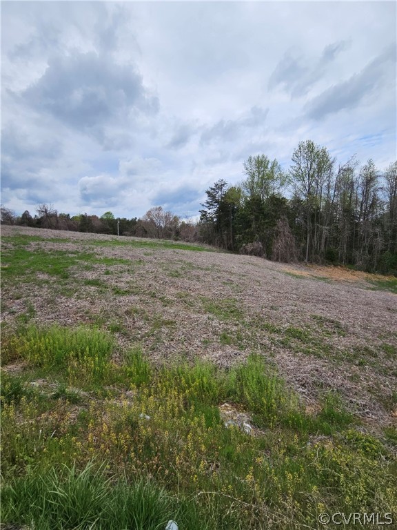 10-ac Holly Farms Road Rice, VA 23966 - Photo 10 of 27 Gallery Image 10