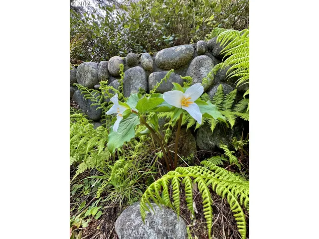 $2,350,000 | 31640 Spruce Drive, Gold Beach, OR 97444