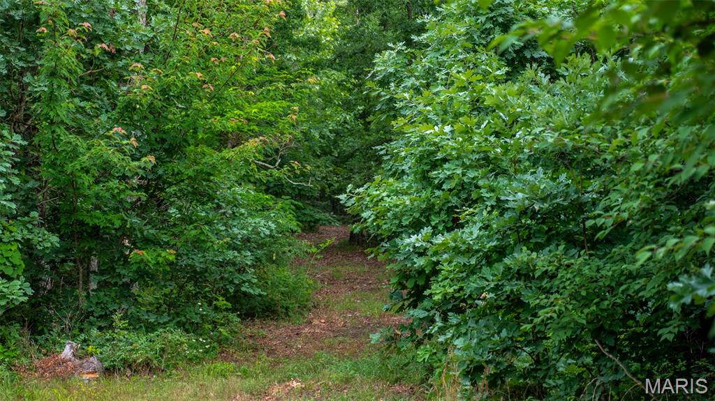 0 Hwy M Cabool, MO 65689 - Photo 52 of 68