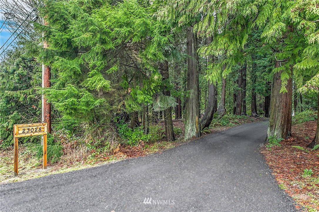 23028 35th Avenue Southeast Bothell, WA 98021 - Photo 24 of 25 a view of a road with plants and large trees
