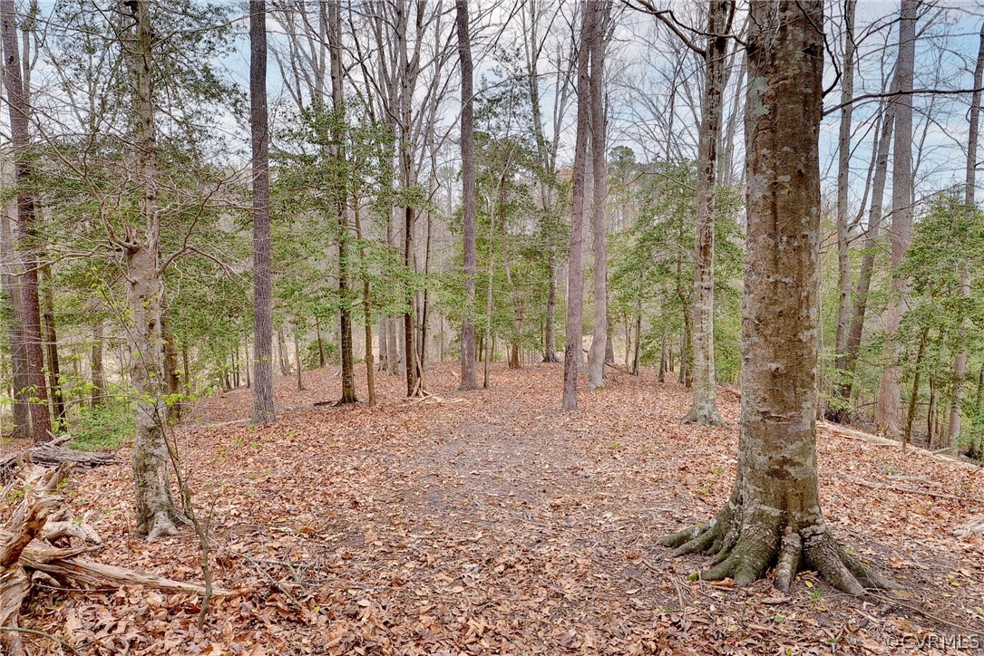 8416 Down Patrick Way Williamsburg, VA 23188 - Photo 39 of 47 a view of a yard with trees