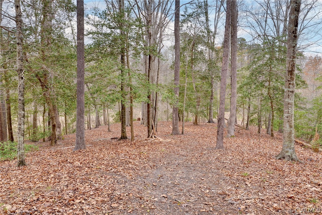 8416 Down Patrick Way Williamsburg, VA 23188 - Photo 40 of 47 a backyard of a house with lots of green space