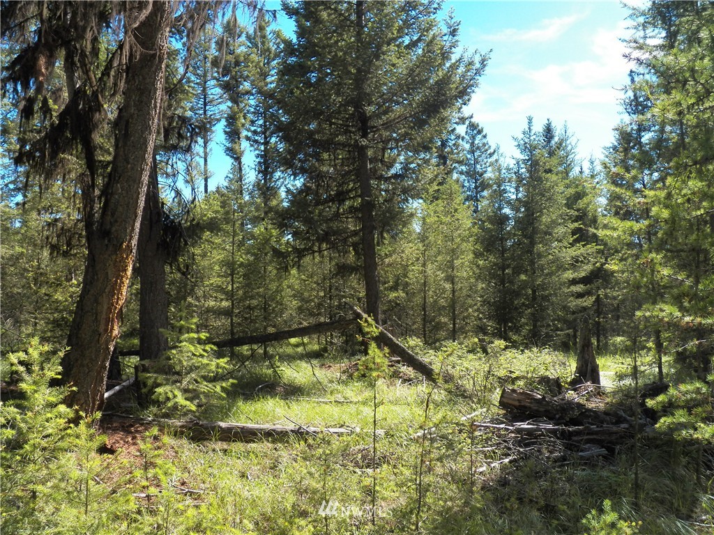 -tbd Prior Loop Road Oroville, WA 98844 - Photo 14 of 17