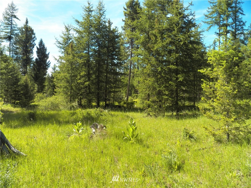 -tbd Prior Loop Road Oroville, WA 98844 - Photo 3 of 17