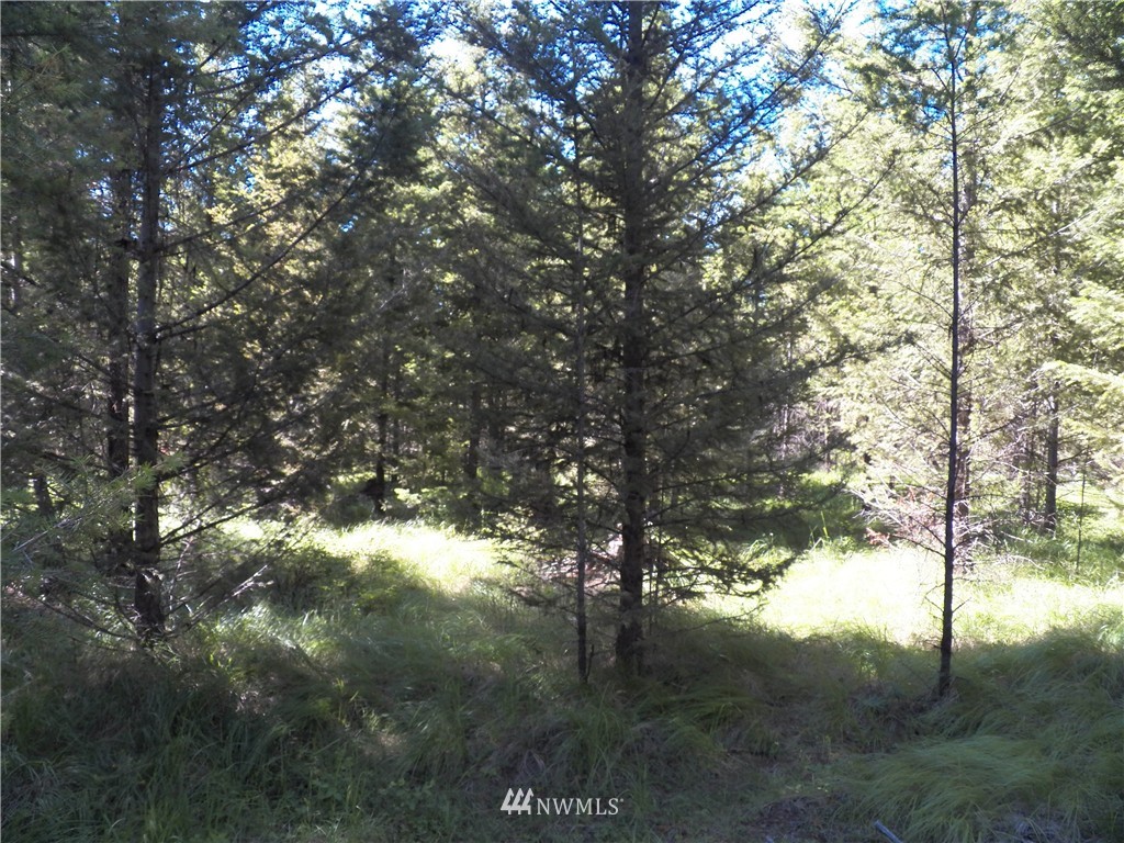 -tbd Prior Loop Road Oroville, WA 98844 - Photo 8 of 17