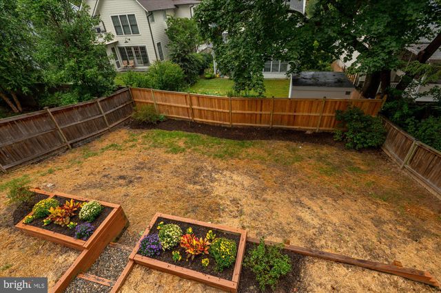a view of backyard with deck and trees