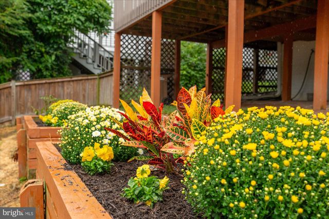 a view of a garden with plants
