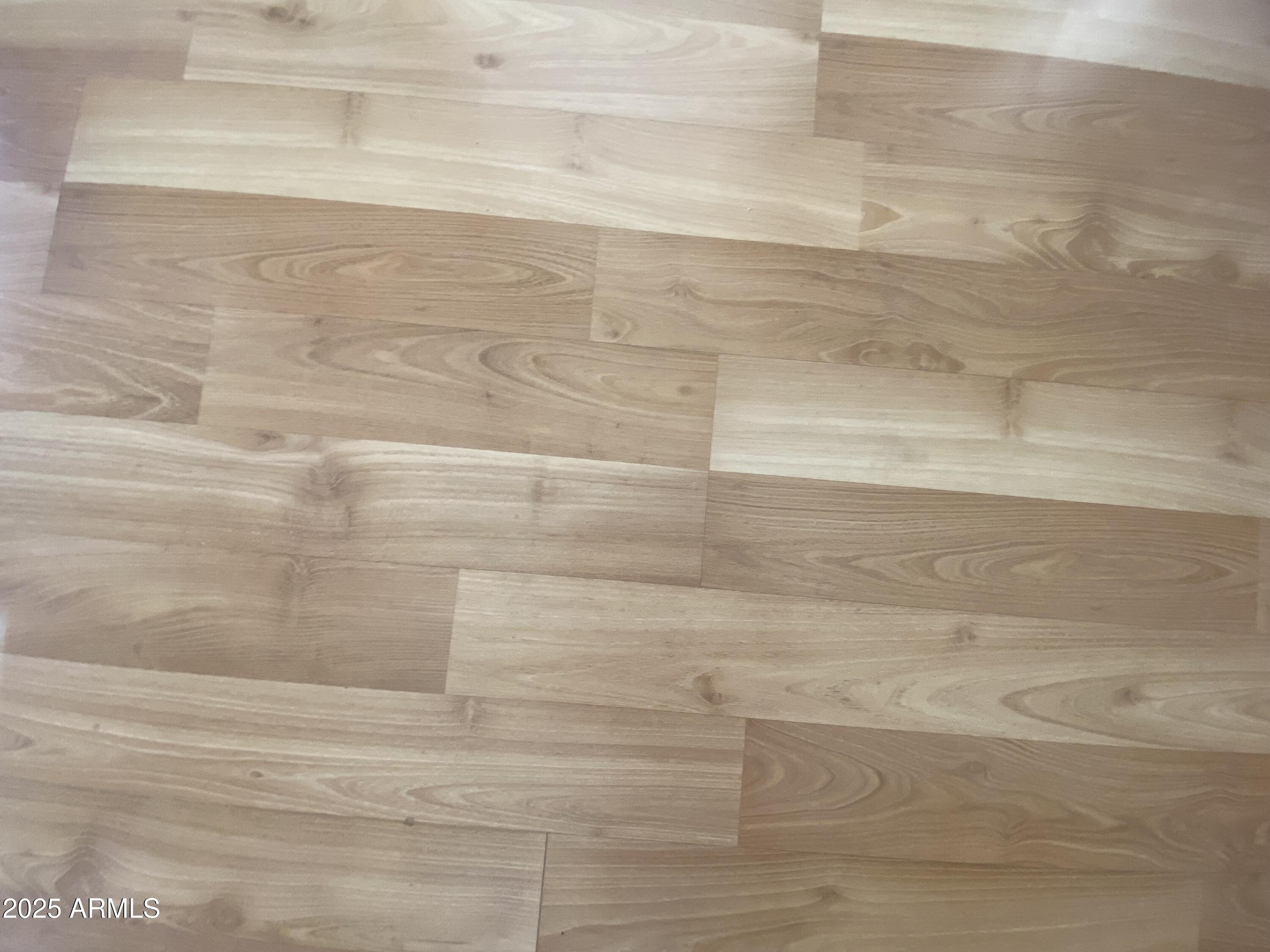 1185 West Klamath Avenue Apache Junction, AZ 85119 - Photo 7 of 26 IMG_5358