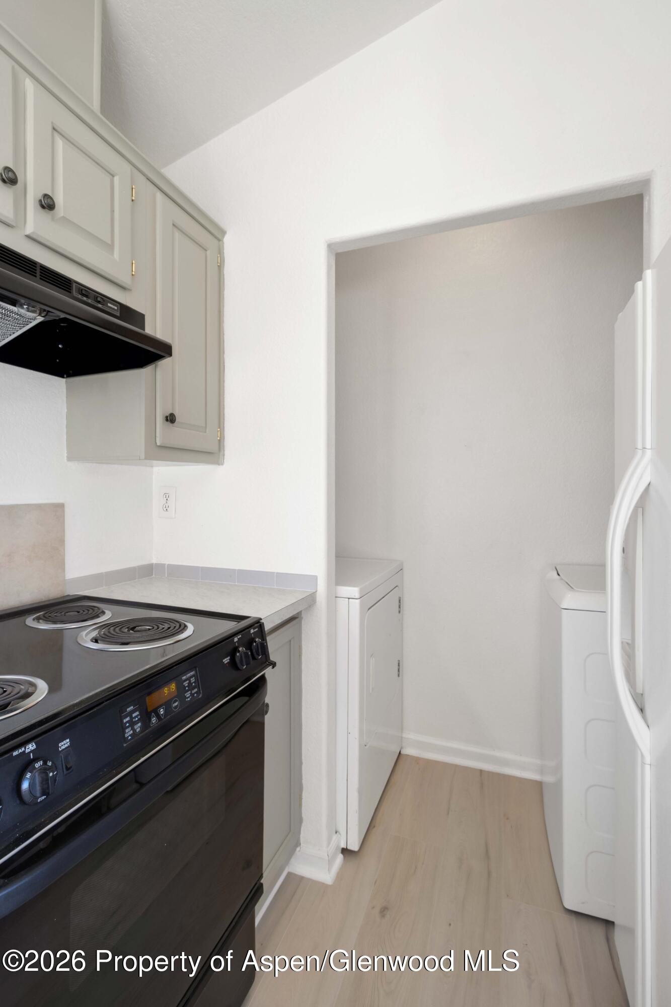 181 Silver Queen Circle Parachute, CO 81635 - Photo 6 of 18 13