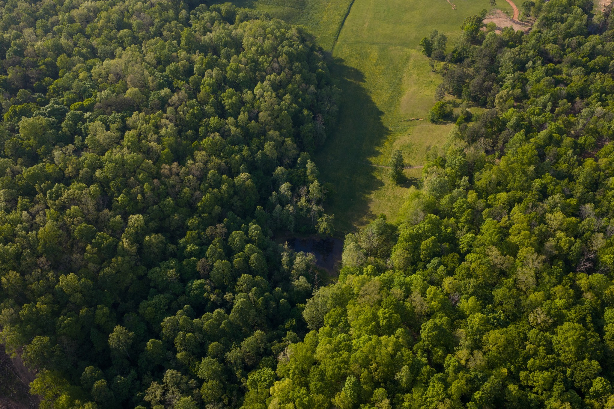 1 Pinewood Road Nunnelly, TN 37137 - Photo 10 of 12 Gallery Image 10