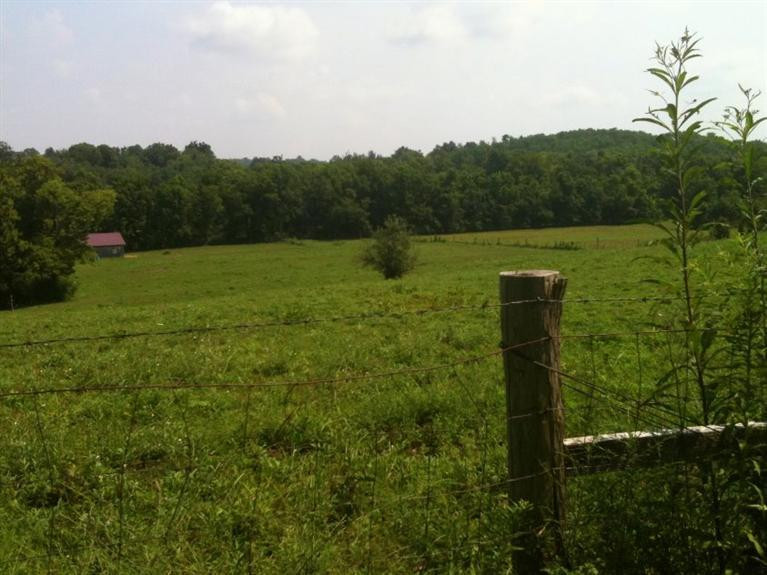 980 Nield Road, Unit T2 Danville, KY 40422 - Photo 5 of 30 Photo 5