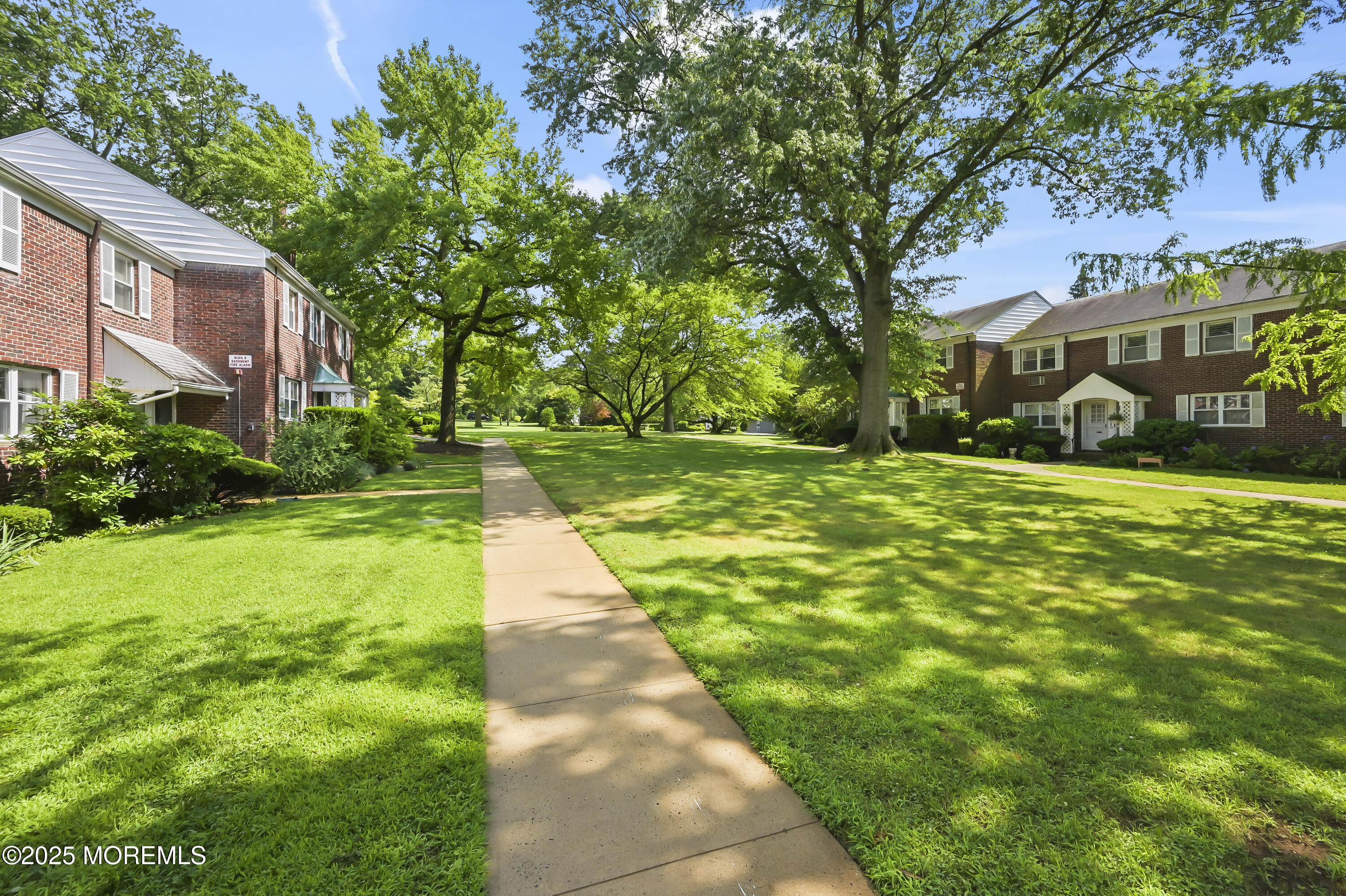 82 Manor Drive, Unit 803 Red Bank, NJ 07701 - Photo 18 of 19 a view of a yard with plants and large trees