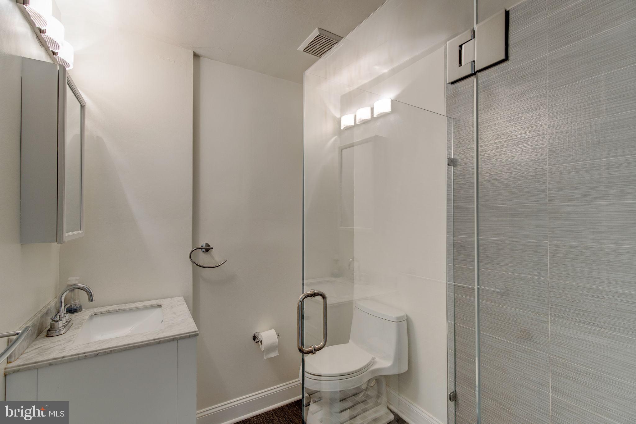 520 Rutgers Avenue Swarthmore, PA 19081 - Photo 18 of 37 Full Bath (first floor)