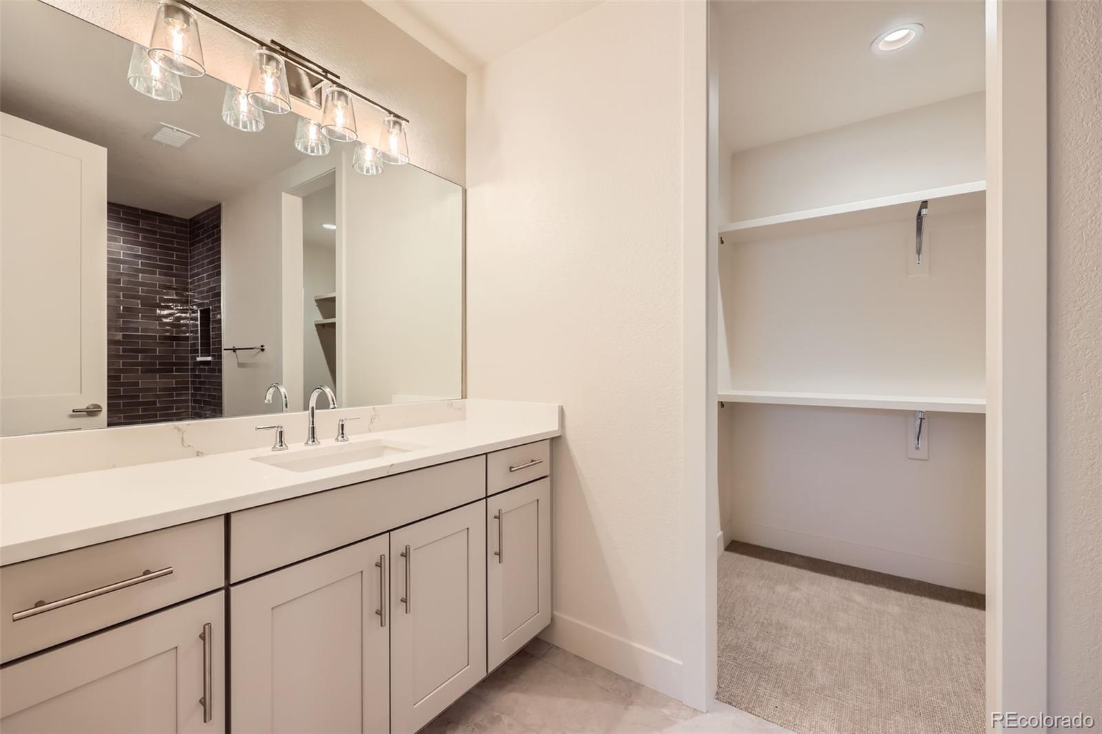 5841 Powell Road Parker, CO 80134 - Photo 30 of 50 a bathroom with a sink and a mirror