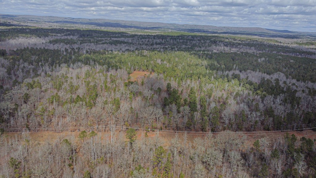 0 Irvin Road Shiloh, GA 31826 - Photo 30 of 46 Gallery Image 30