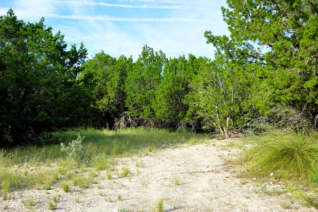 22874 Ranch Road 385 Harper, TX 78631 - Photo 11 of 31 a view of backyard with green space