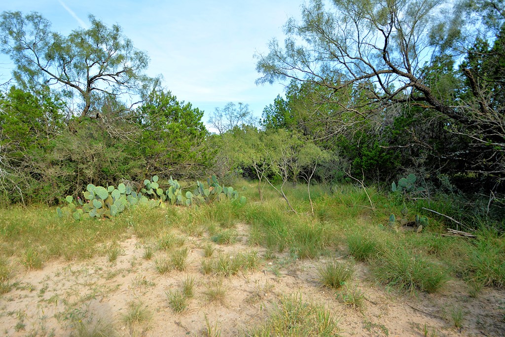 22874 Ranch Road 385 Harper, TX 78631 - Photo 13 of 31 a view of a garden with a lake