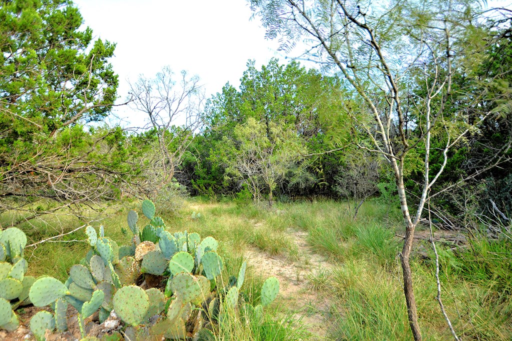 22874 Ranch Road 385 Harper, TX 78631 - Photo 14 of 31 a view of a garden