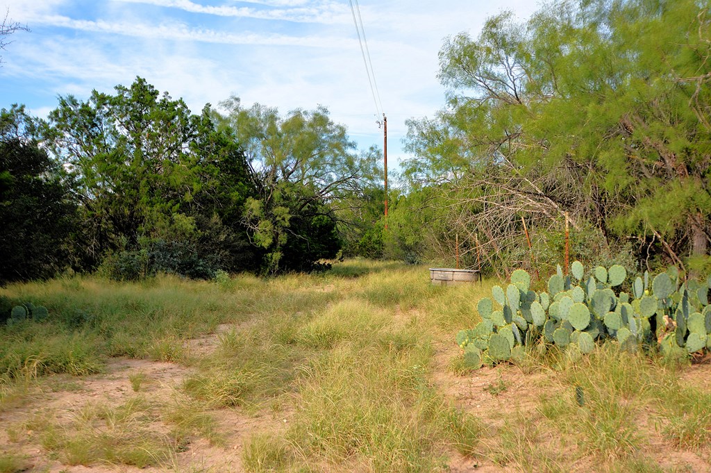 22874 Ranch Road 385 Harper, TX 78631 - Photo 17 of 31 a view of a yard