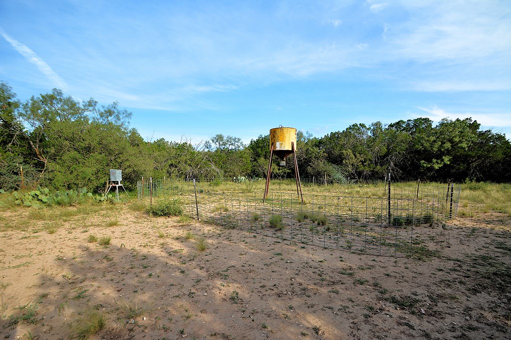 22874 Ranch Road 385 Harper, TX 78631 - Photo 19 of 31 a view of a backyard