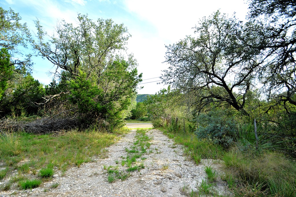 22874 Ranch Road 385 Harper, TX 78631 - Photo 2 of 31 a view of yard with green space