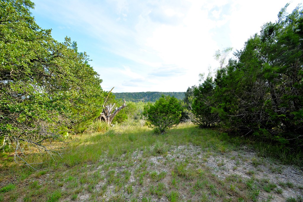 22874 Ranch Road 385 Harper, TX 78631 - Photo 23 of 31 a view of yard with green space