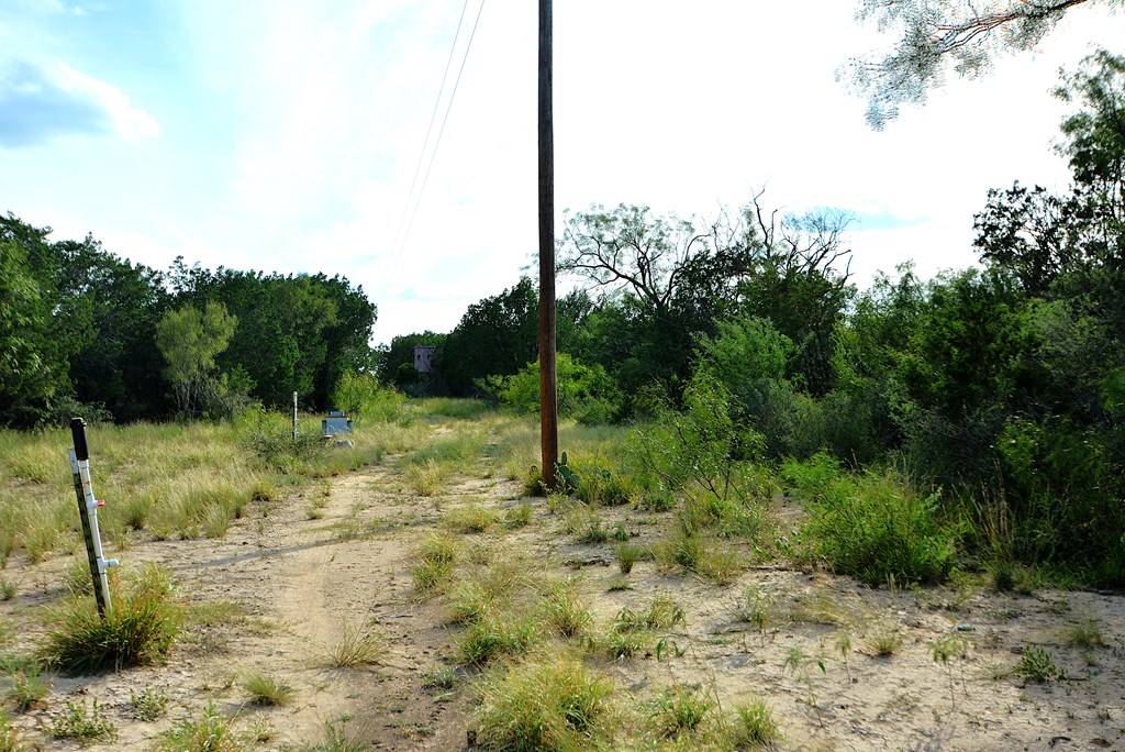 22874 Ranch Road 385 Harper, TX 78631 - Photo 26 of 31 a view of a garden with a tree
