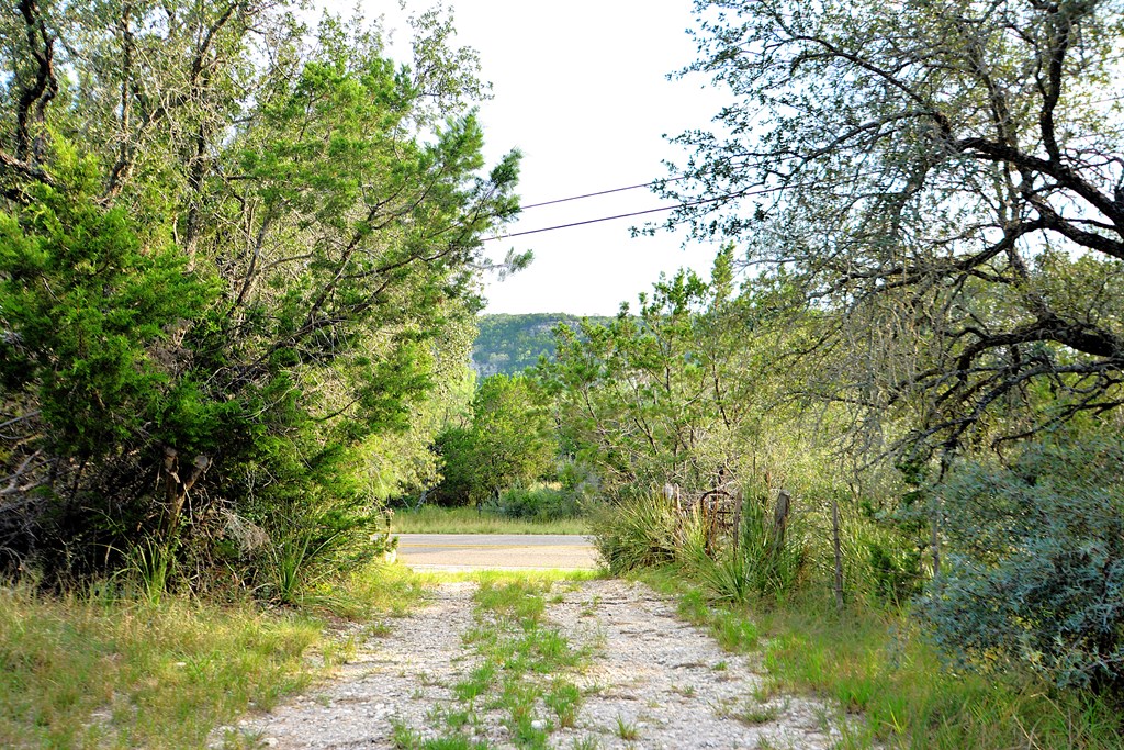 22874 Ranch Road 385 Harper, TX 78631 - Photo 29 of 31 a view of a yard with a tree