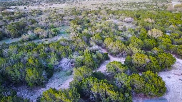 22874 Ranch Road 385 Harper, TX 78631 - Photo 30 of 31 a view of a garden with plants and flowers