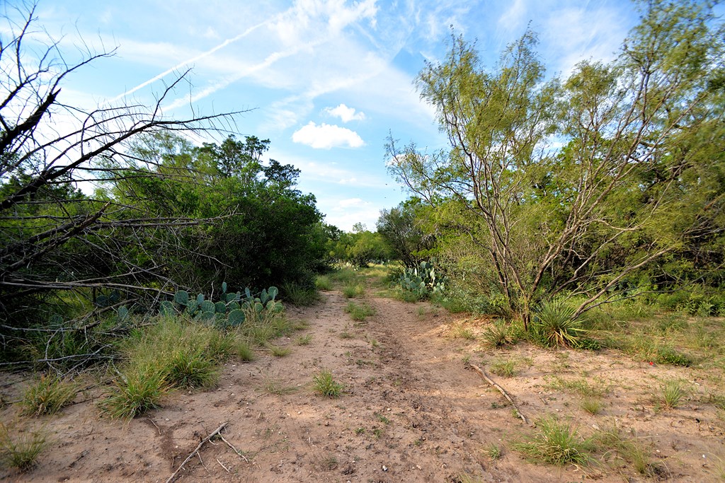 22874 Ranch Road 385 Harper, TX 78631 - Photo 3 of 31 a big yard with lots of green space
