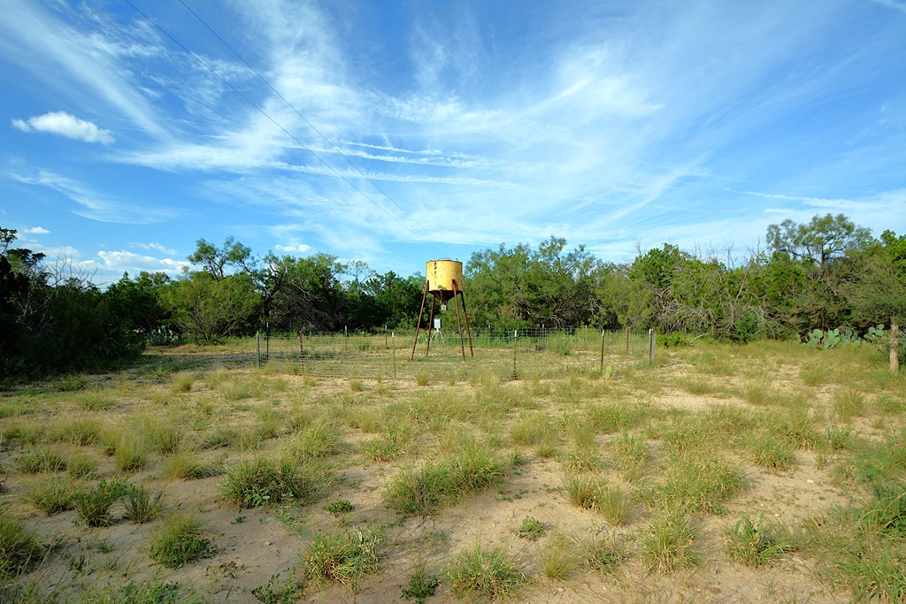 22874 Ranch Road 385 Harper, TX 78631 - Photo 4 of 31 a view of a field with an trees