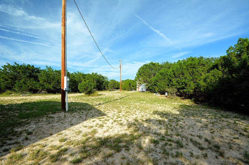 22874 Ranch Road 385 Harper, TX 78631 - Photo 5 of 31 a view of a yard with an tree