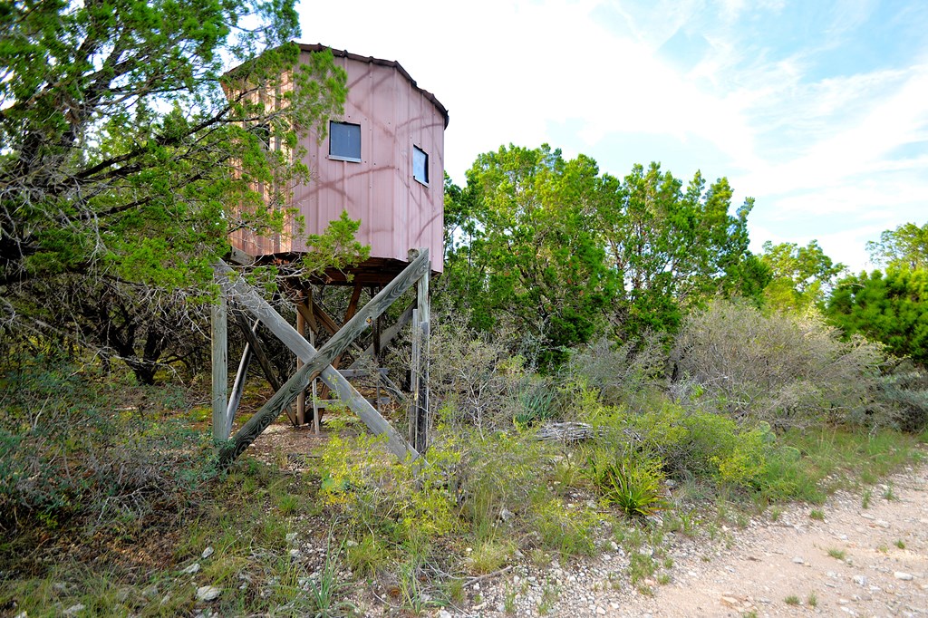 22874 Ranch Road 385 Harper, TX 78631 - Photo 7 of 31 a view of a house with a backyard