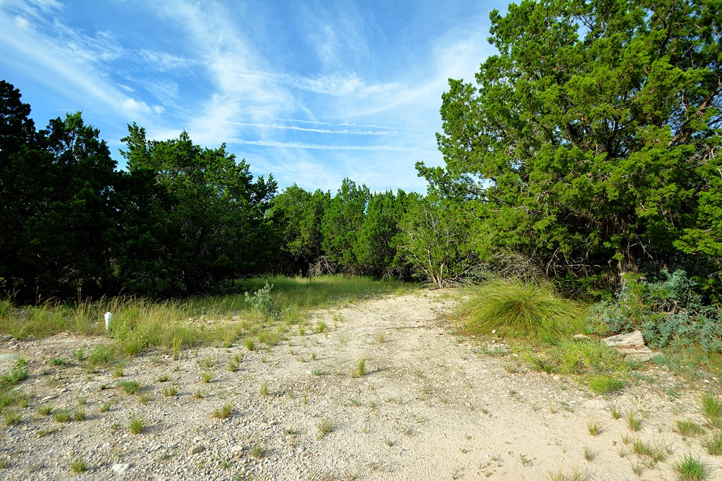 22874 Ranch Road 385 Harper, TX 78631 - Photo 10 of 31 a view of yard with green space
