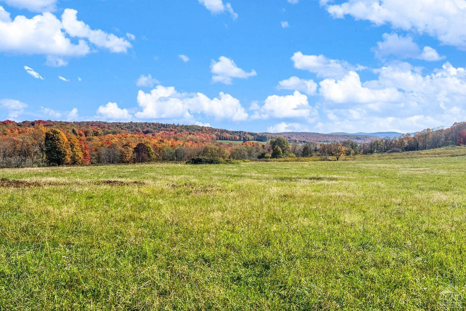 1414 Fleming Road Delhi, NY 13753 - Photo 39 of 63 Photo 39