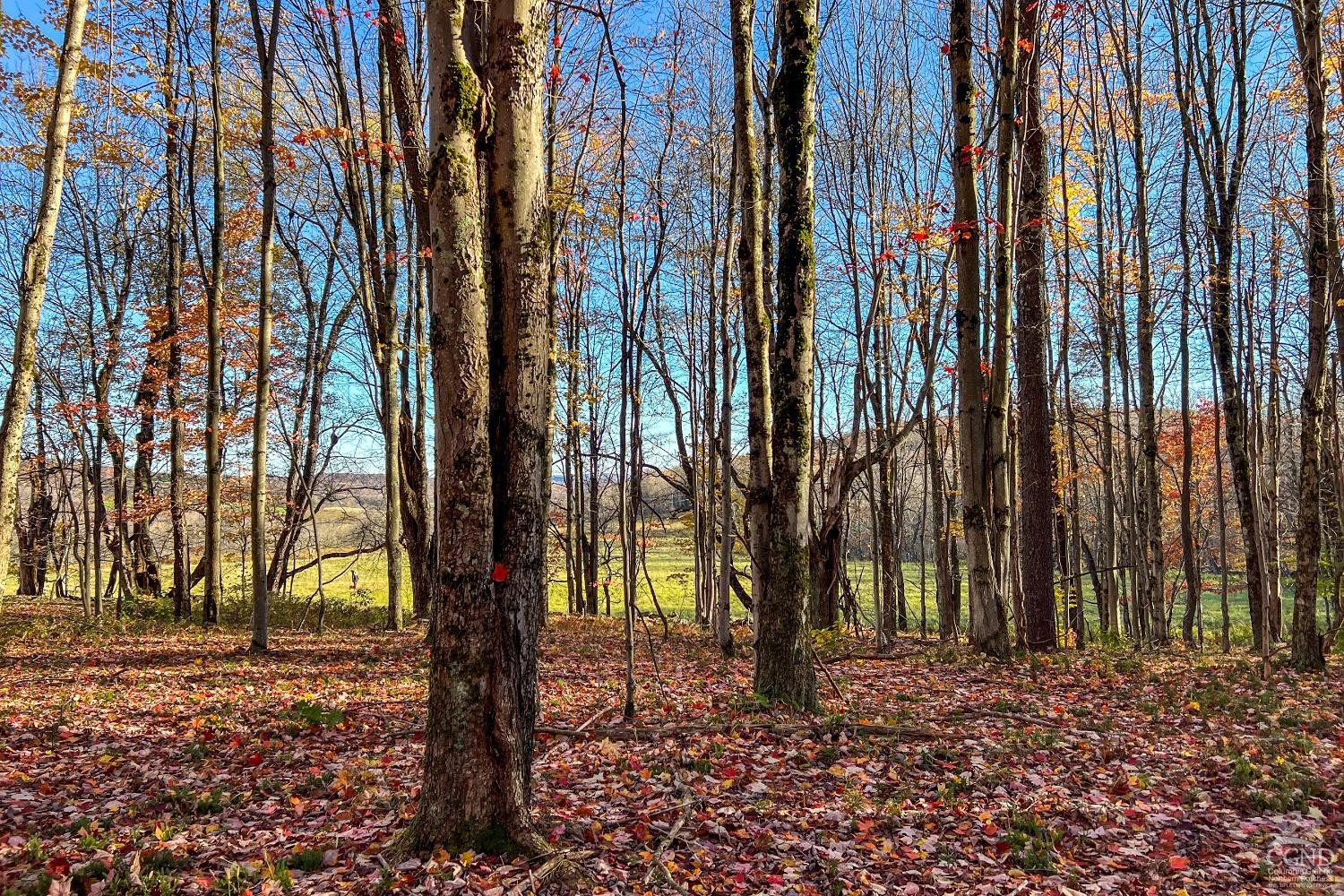1414 Fleming Road Delhi, NY 13753 - Photo 44 of 63 Photo 44