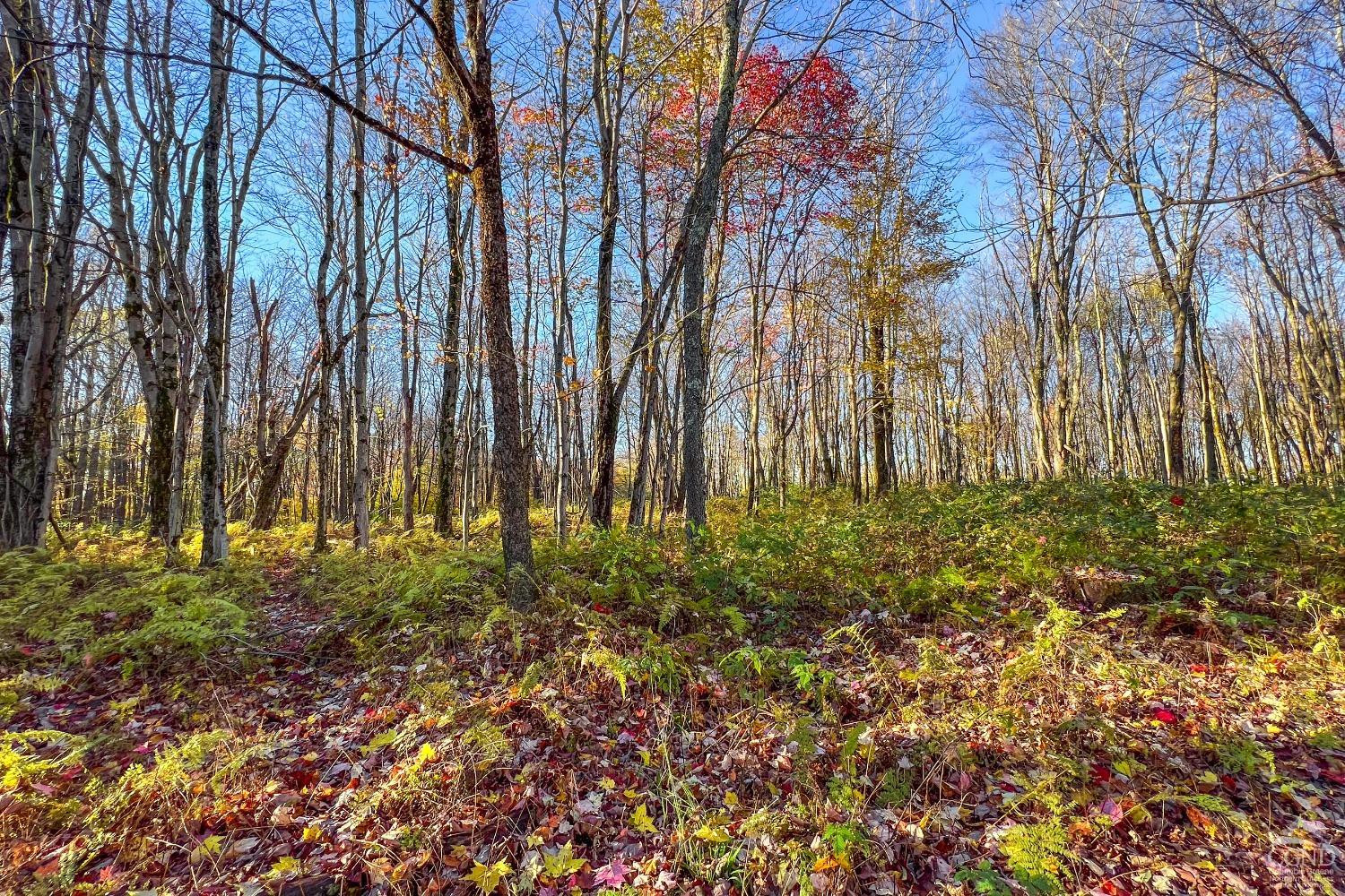 1414 Fleming Road Delhi, NY 13753 - Photo 47 of 63 Photo 47