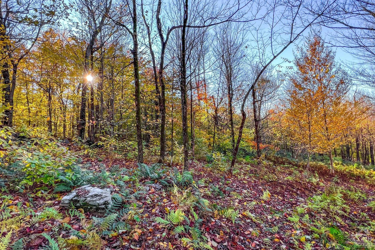 1414 Fleming Road Delhi, NY 13753 - Photo 50 of 63 Photo 50
