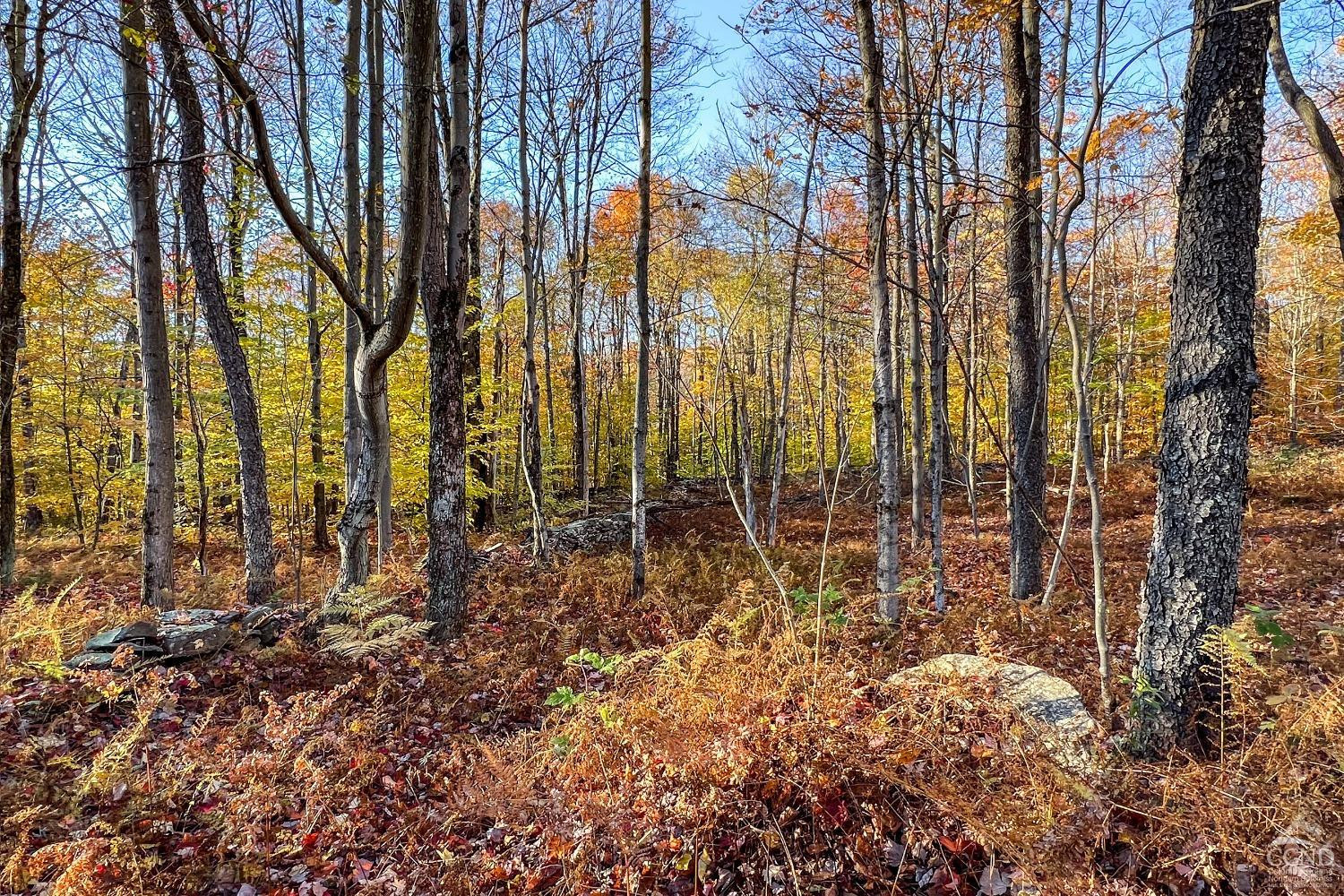 1414 Fleming Road Delhi, NY 13753 - Photo 53 of 63 Photo 53
