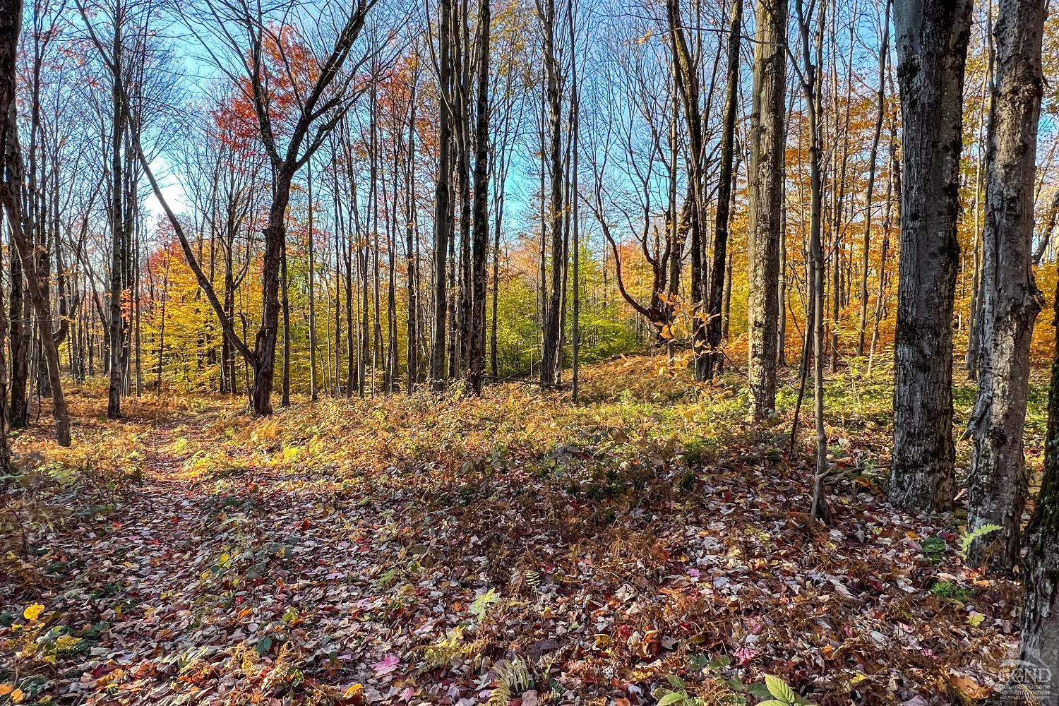 1414 Fleming Road Delhi, NY 13753 - Photo 58 of 63 Photo 58